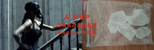 прущие грибы Кулебаки