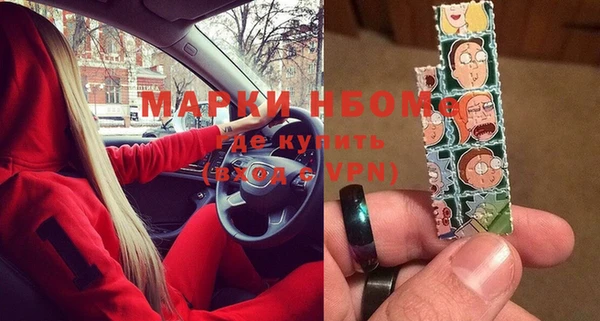 прущие грибы Кулебаки