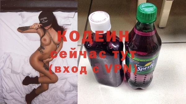 прущие грибы Кулебаки
