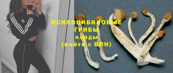 ПСИЛОЦИБИНОВЫЕ ГРИБЫ Краснотурьинск