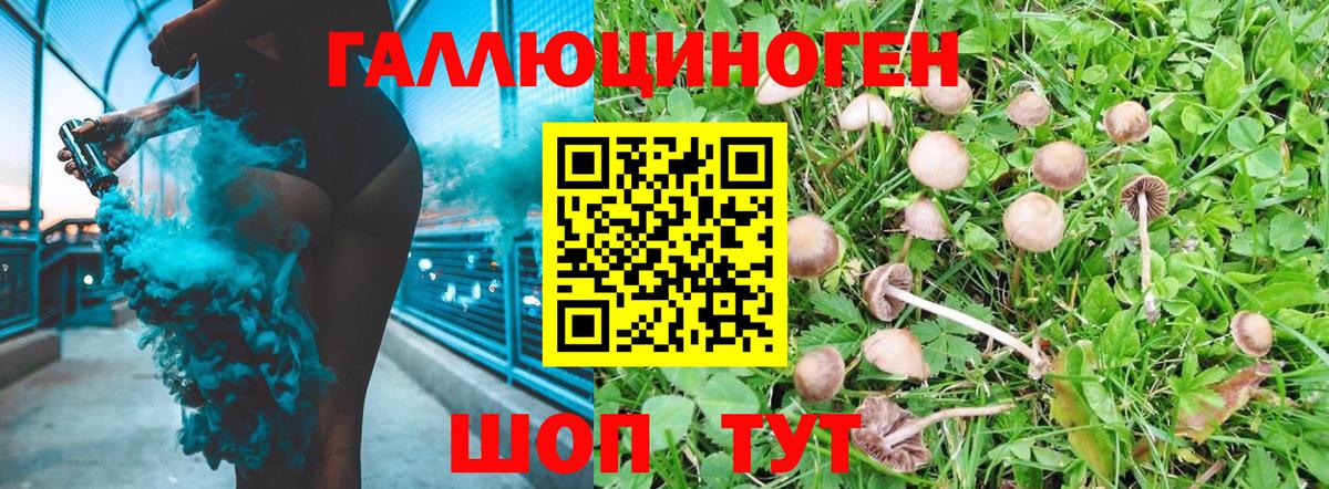 Галлюциногенные грибы Psilocybine cubensis  Вход с VPN  Ливны 