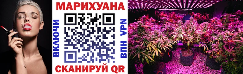 Каннабис конопля  MEGA ССЫЛКА  Ливны 